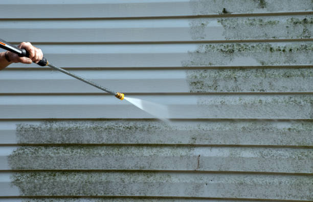 Attic Mold Removal in Shelley, ID